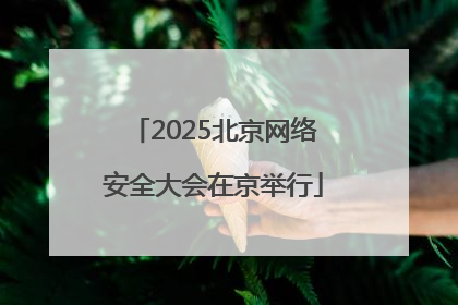 2025北京网络安全大会在京举行